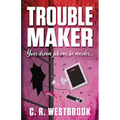 Troublemaker