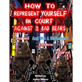 How to Represent yourself in Court Against 3 Bad Bears And win A Settlement: Win A Settlement Against Trans Union, Experian, Equifax