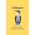 Gal疳agos: Poems by John Delaney, Photographs by Andrew Delaney