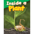 Inside a Plant