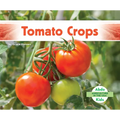 Tomato Crops