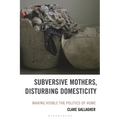 Subversive Mothers, Disturbing Domesticity: Making Visible the Politics of Home