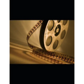 Screenplays: A Collection