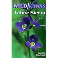 Wildflowers of the Tahoe Sierra