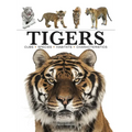 Tigers