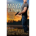 After the Storm