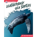 Leatherback Sea Turtles