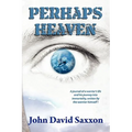 Perhaps Heaven: The Story of a Warrior's Life and His Journey to Immortality, Book I