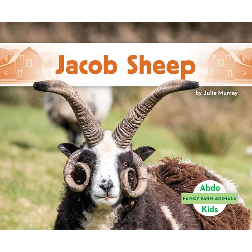 Jacob Sheep
