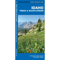Idaho Trees & Wildflowers: A Folding Pocket Guide to Familiar Plants