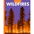 Curious about Wildfires