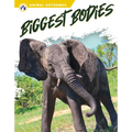 Biggest Bodies