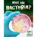 What Are Bacteria?