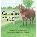 Carmine: A Very Special Horse