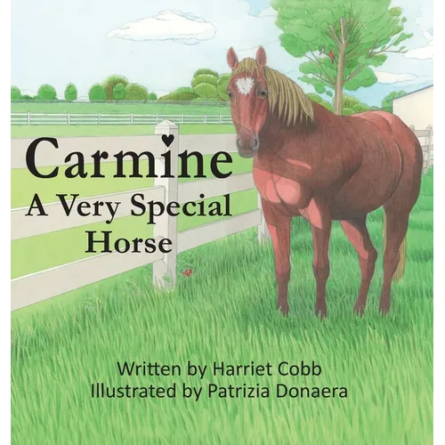 Carmine: A Very Special Horse