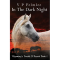 In The Dark Night
