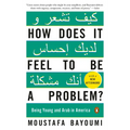 How Does It Feel to Be a Problem?: Being Young and Arab in America
