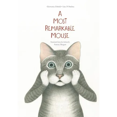 A Most Mysterious Mouse