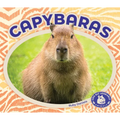 Capybaras
