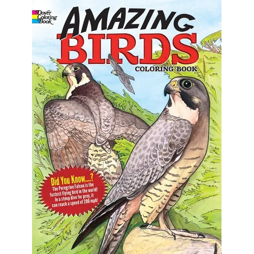Amazing Birds Coloring Book