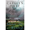 Ghost Wanted