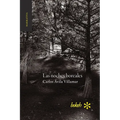 Las noches boreales