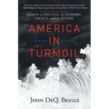 America in Turmoil: Essays on Politics, the Economy, Society, and the Future