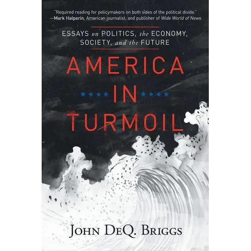 America in Turmoil: Essays on Politics, the Economy, Society, and the Future