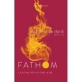 Fathom Bible Studies: The Birth of the Church Leader Guide (Luke 24-Acts 8): A Deep Dive Into the Story of God