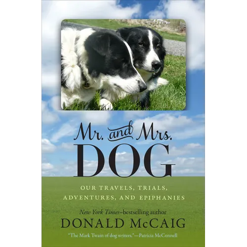 Mr. and Mrs. Dog: Our Travels, Trials, Adventures, and Epiphanies
