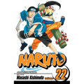 Naruto, Vol. 22