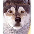The Eyes of Gray Wolf