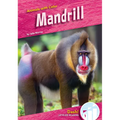 Mandrill