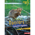 Beavers: Freshwater Engineers