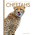 Cheetahs