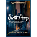 Birth Pangs: A Novel of Home, Family, and Abandonment