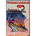 Probable Hurdles in the Cameroon 2035 Dream