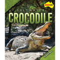 Saltwater Crocodile