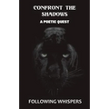 Confront The Shadows: A Poetic Quest