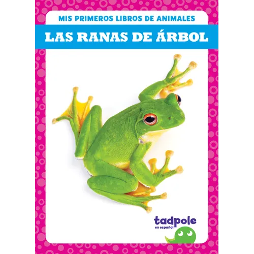 Las Ranas de ﾁrbol (Tree Frogs)