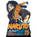 Naruto, Vol. 25