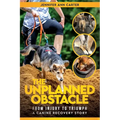 The Unplanned Obstacle: From Injury to Triumph: A Canine Recovery Story