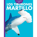 Curiosidad Por Los Tiburones Martillo