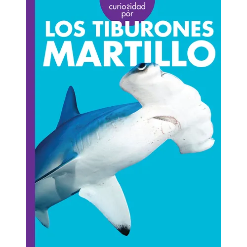 Curiosidad Por Los Tiburones Martillo
