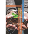 Food Security and Sustainable Development: Advancing Global Food Systems by Integrating Climate Change, Nutrition, Agriculture, Governance, and Trade