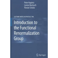 Introduction to the Functional Renormalization Group