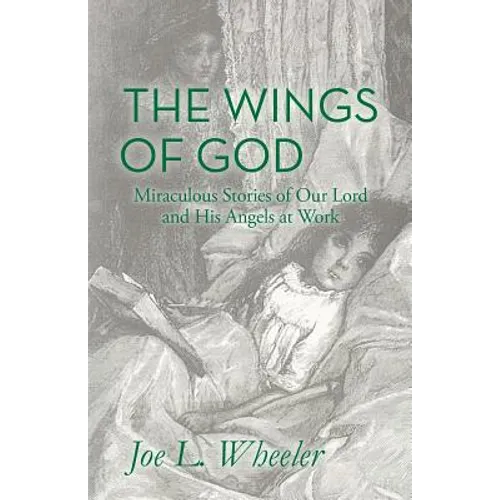 The Wings of God: Miraculous Stories of Our Lord and His Angels at Work