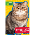 Exotic Cats