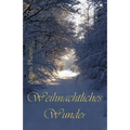 Weihnachtliches Wunder