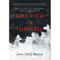America in Turmoil: Essays on Politics, the Economy, Society, and the Future